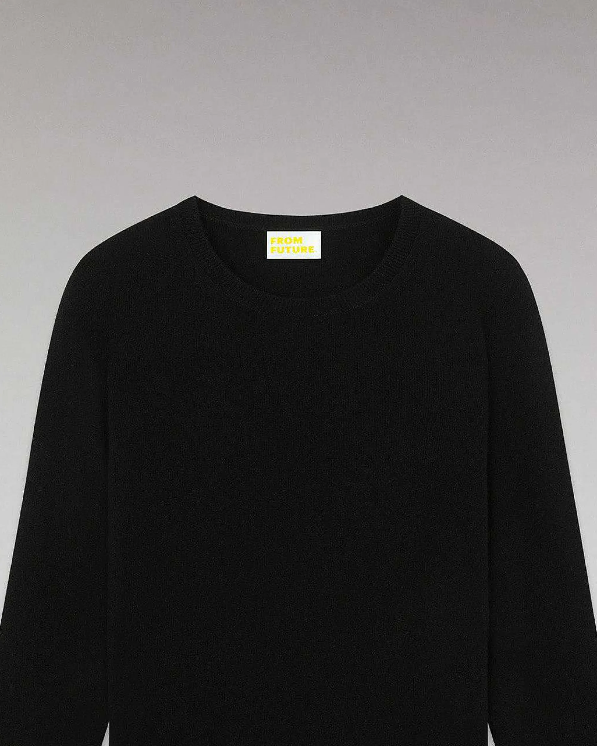 Pull Col Rond Basique*FROM FUTURE New