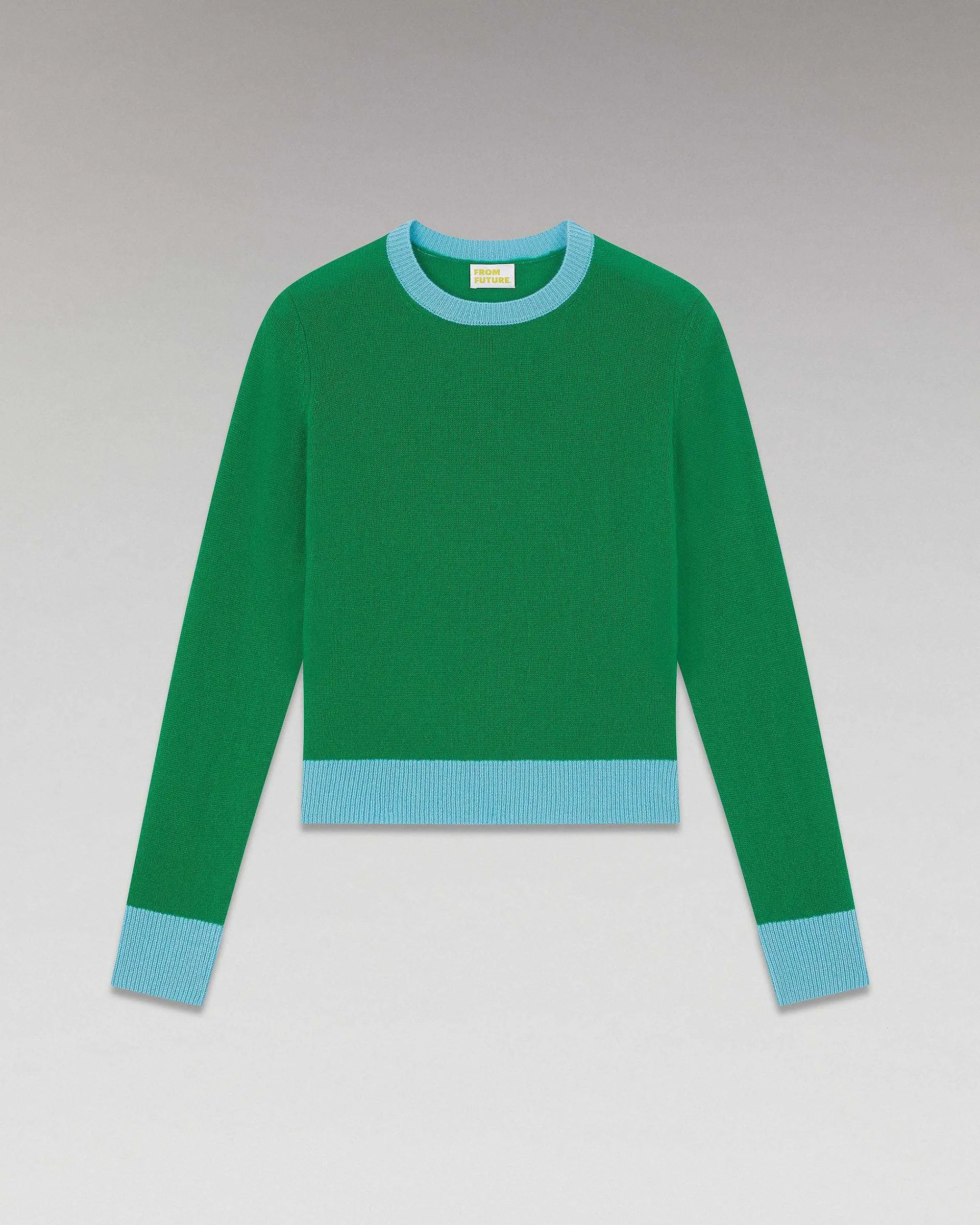 Pull Col Rond Bicolore Leger*FROM FUTURE Sale