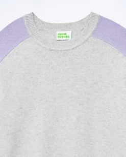 Pull Col Rond Manches Contrastees*FROM FUTURE New