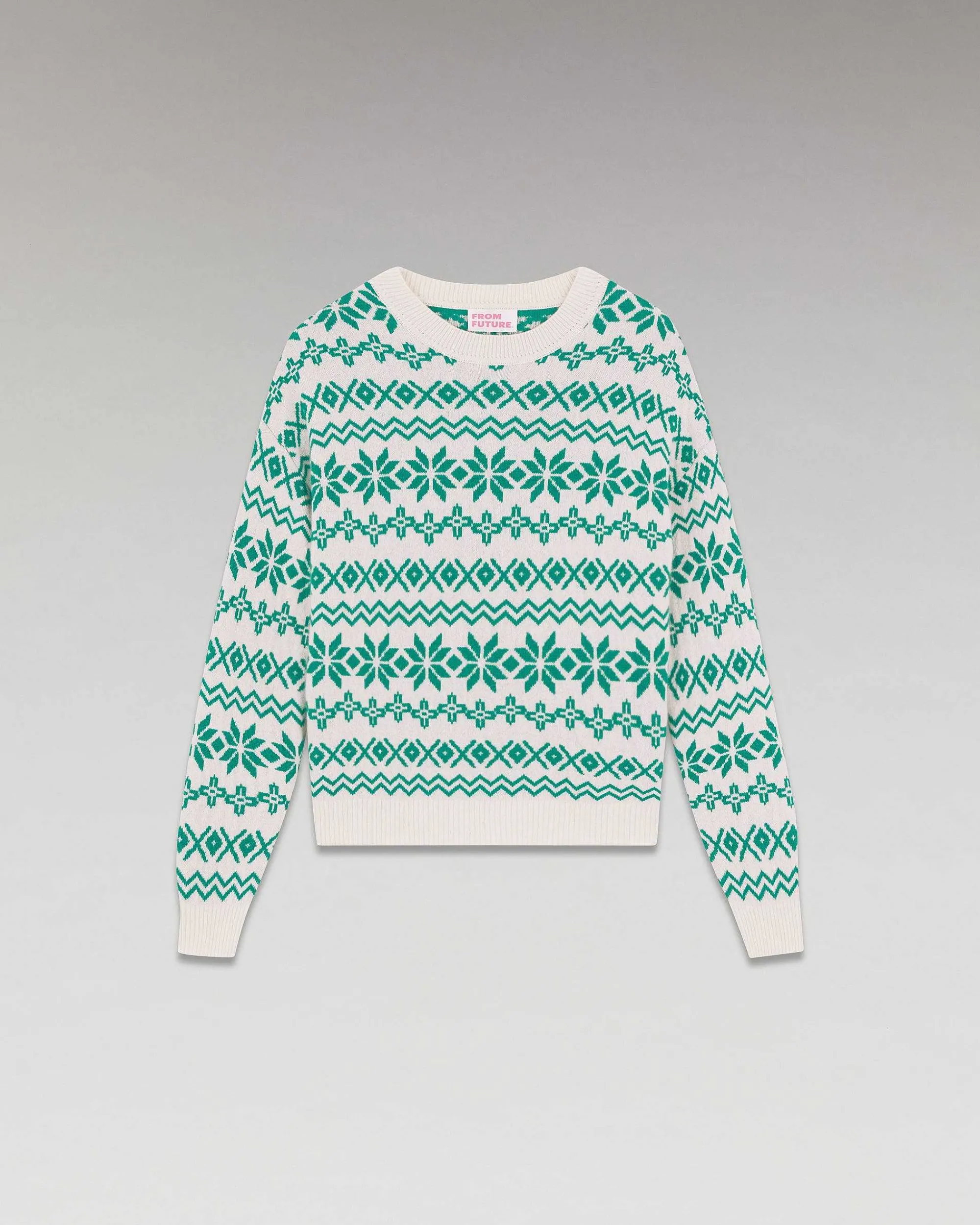 Pull Col Rond Norvegien Bicolore*FROM FUTURE New