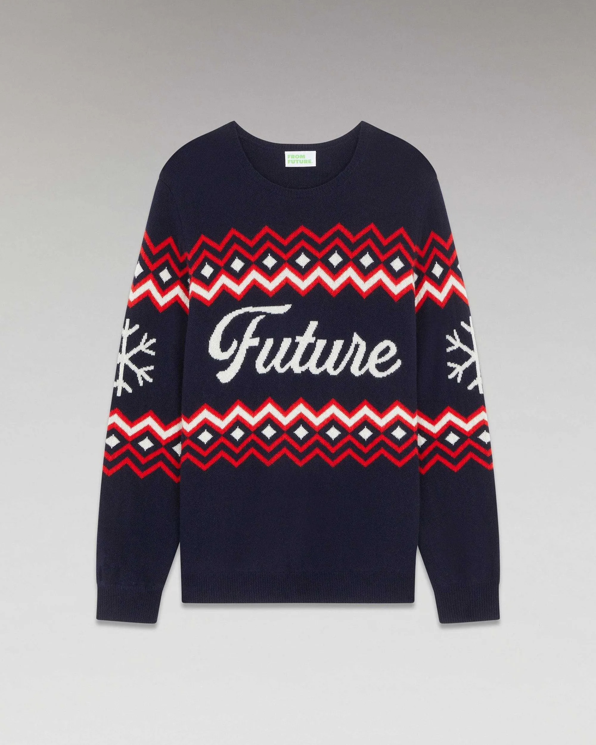 Pull Col Rond Norvegien Future*FROM FUTURE Sale