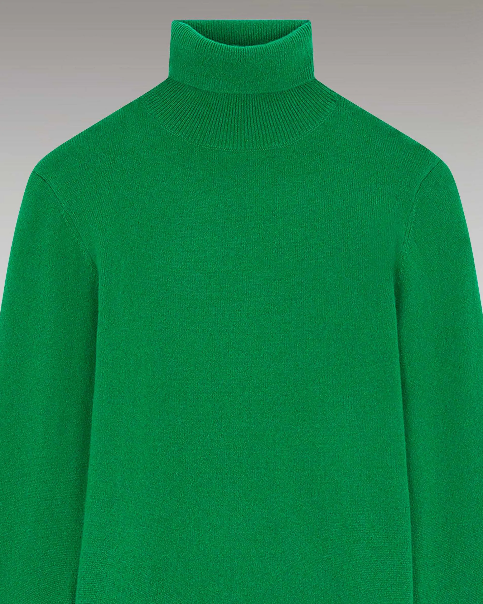 Pull Col Roule Basique*FROM FUTURE Outlet