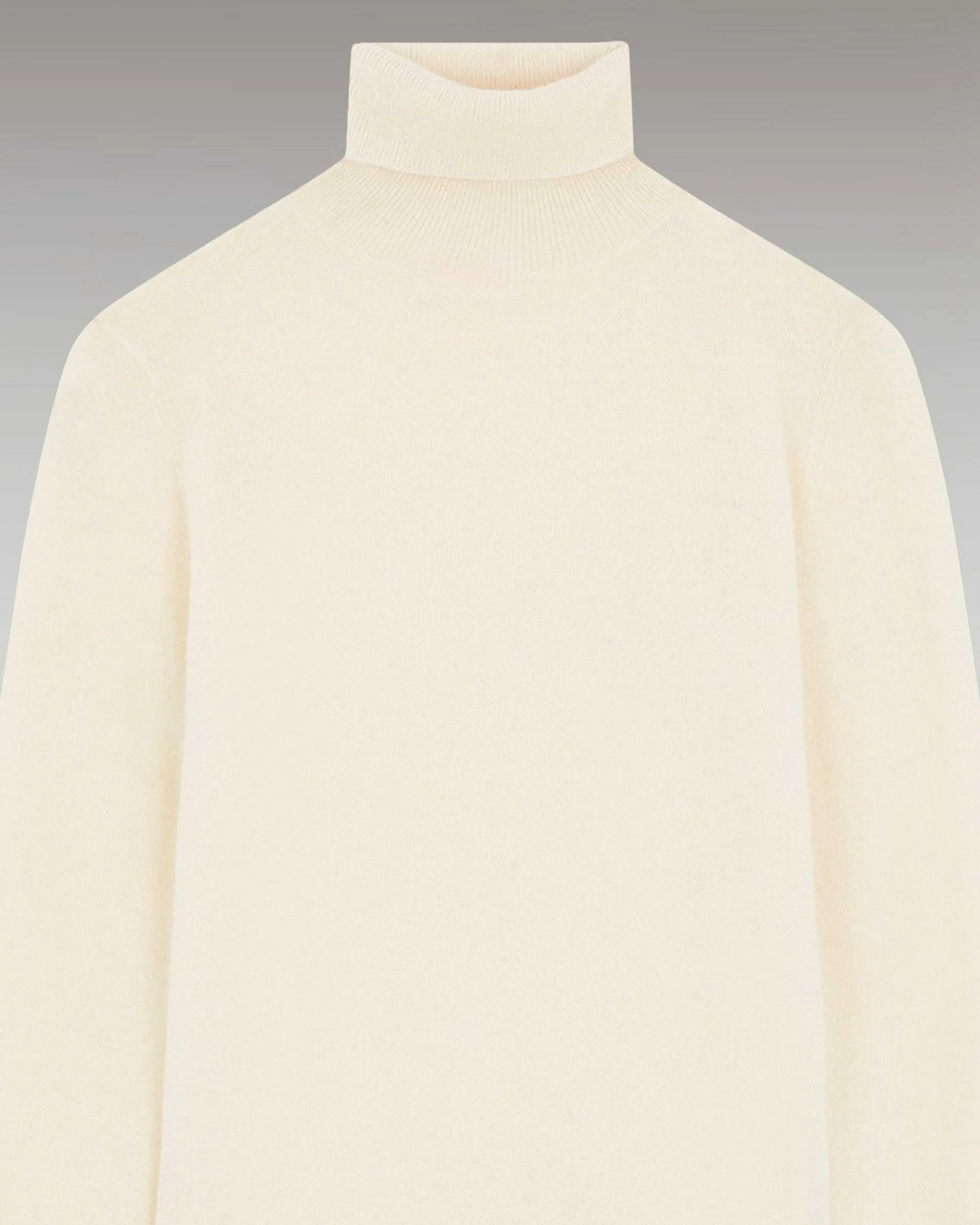 Pull Col Roule Basique*FROM FUTURE Online