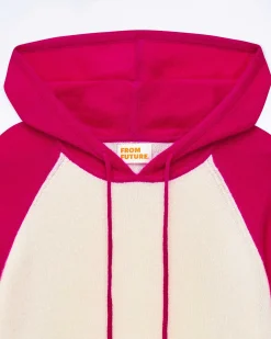 Pull Hoodie Contraste*FROM FUTURE Online